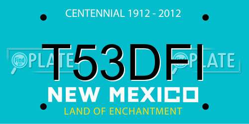 T53DFI New Mexico License Plate