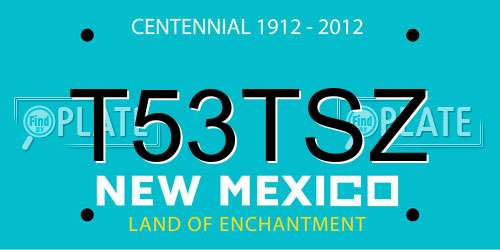 T53TSZ New Mexico License Plate
