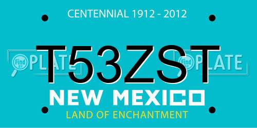 T53ZST New Mexico License Plate