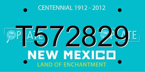 T572829 New Mexico License Plate