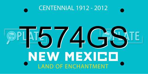 T574GS New Mexico License Plate