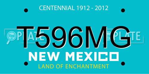 T596MG New Mexico License Plate