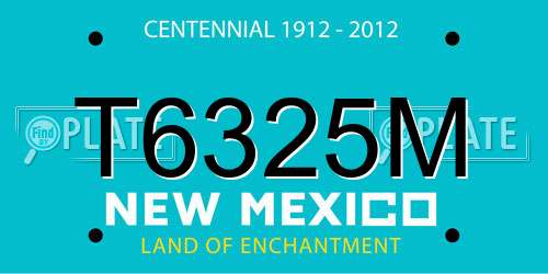 T6325M New Mexico License Plate
