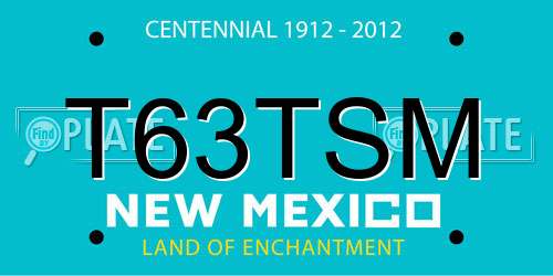 T63TSM New Mexico License Plate