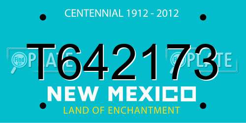 T642173 New Mexico License Plate