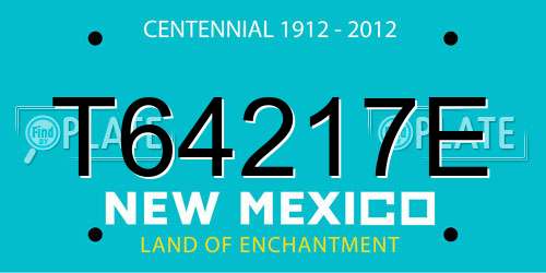 T64217E New Mexico License Plate