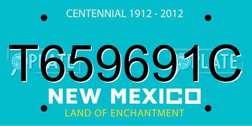 T659691C New Mexico License Plate