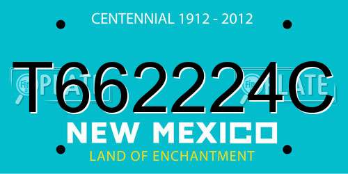 T662224C New Mexico License Plate