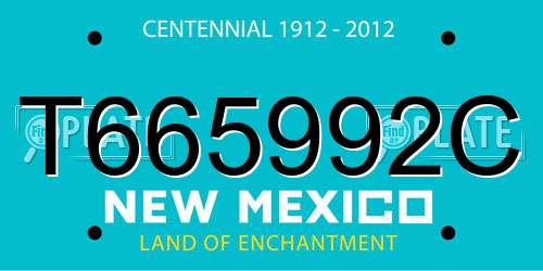 T665992C New Mexico License Plate