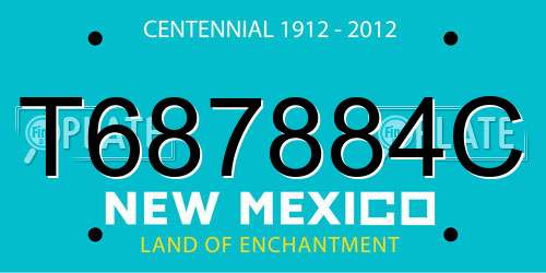 T687884C New Mexico License Plate