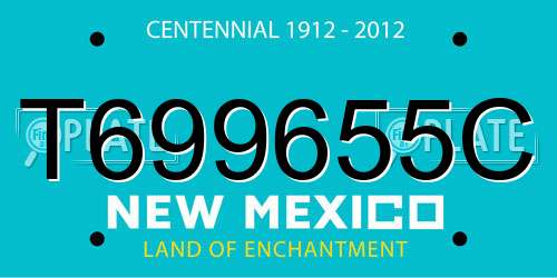 T699655C New Mexico License Plate