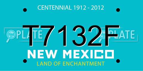 T7132F New Mexico License Plate