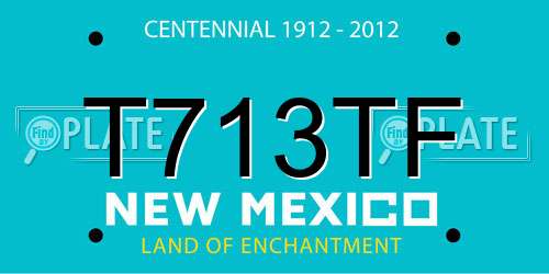 T713TF New Mexico License Plate