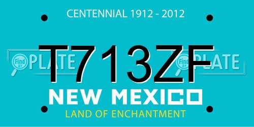 T713ZF New Mexico License Plate