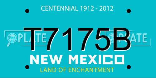 T7175B New Mexico License Plate
