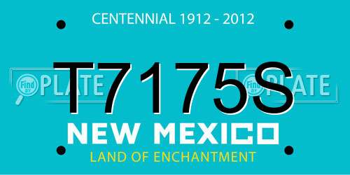 T7175S New Mexico License Plate