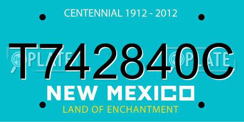 T742840C New Mexico License Plate