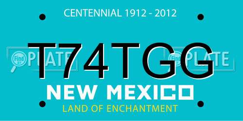T74TGG New Mexico License Plate