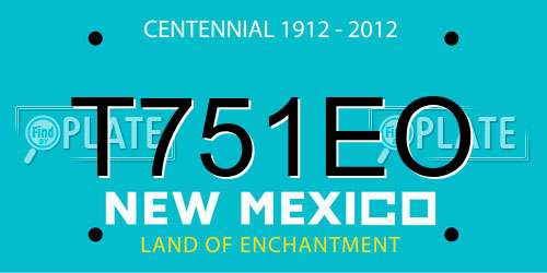 T751EO New Mexico License Plate