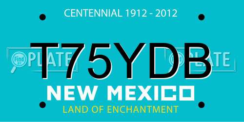 T75YDB New Mexico License Plate