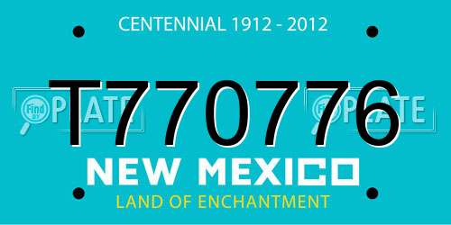 T770776 New Mexico License Plate
