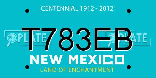 T783EB New Mexico License Plate