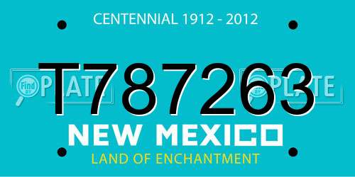 T787263 New Mexico License Plate