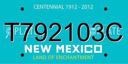 T792103C New Mexico License Plate