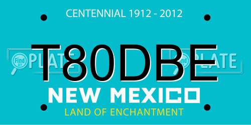 T80DBE New Mexico License Plate