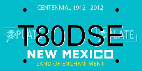 T80DSE New Mexico License Plate