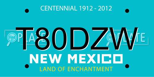T80DZW New Mexico License Plate