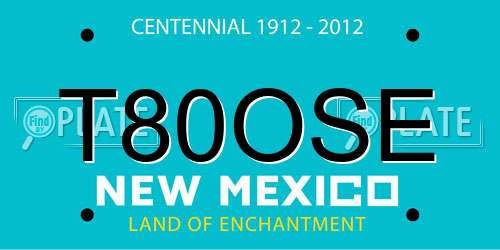 T80OSE New Mexico License Plate