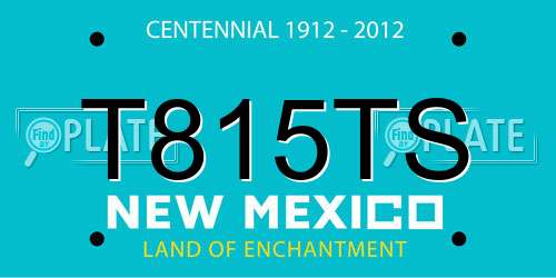 T815TS New Mexico License Plate