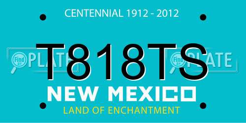 T818TS New Mexico License Plate