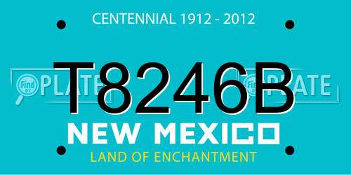 T8246B New Mexico License Plate