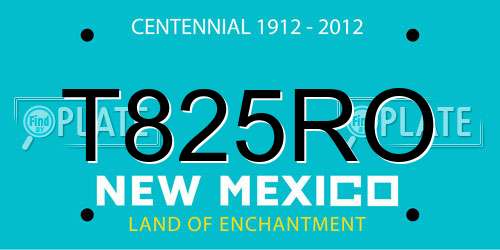 T825RO New Mexico License Plate