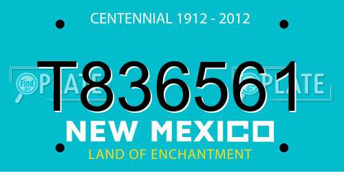 T836561 New Mexico License Plate