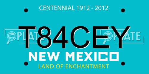 T84CEY New Mexico License Plate