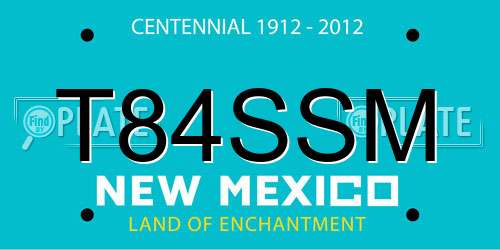 T84SSM New Mexico License Plate