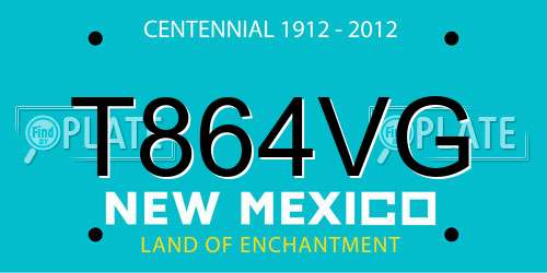 T864VG New Mexico License Plate