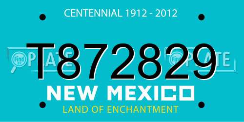 T872829 New Mexico License Plate