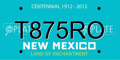 T875RO New Mexico License Plate