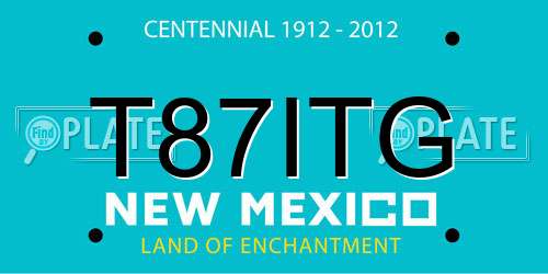 T87ITG New Mexico License Plate