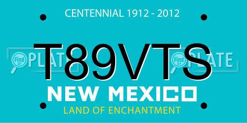 T89VTS New Mexico License Plate