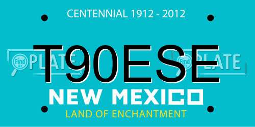 T90ESE New Mexico License Plate
