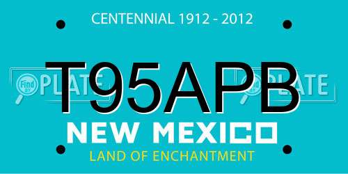 T95APB New Mexico License Plate