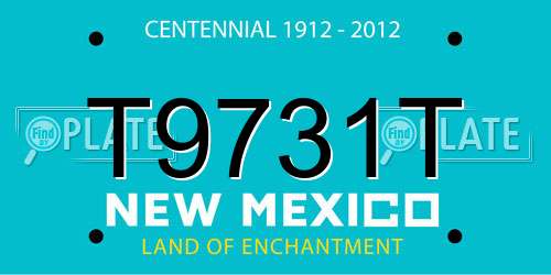 T9731T New Mexico License Plate