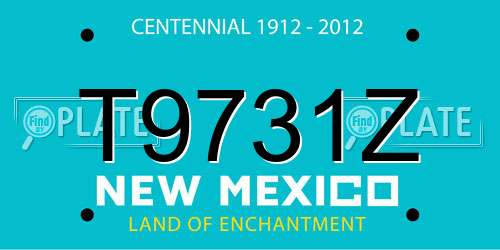T9731Z New Mexico License Plate