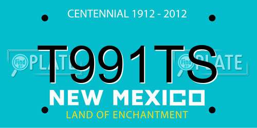 T991TS New Mexico License Plate