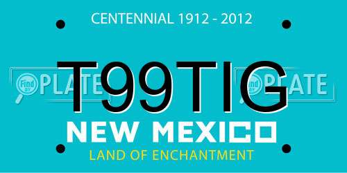 T99TIG New Mexico License Plate